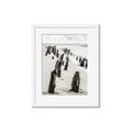 Picture of Low Tide  _GroupedProduct_Rectangle_Portrait_Photography _GroupedProduct_Rectangle_Portrait_Framed_Matted_