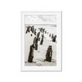 Picture of Low Tide  _GroupedProduct_Rectangle_Portrait_Photography _GroupedProduct_Rectangle_Portrait_Framed_Matted_