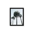 Picture of Palm Trees  _GroupedProduct_Rectangle_Portrait_Photography _GroupedProduct_Rectangle_Portrait_Framed_Matted_