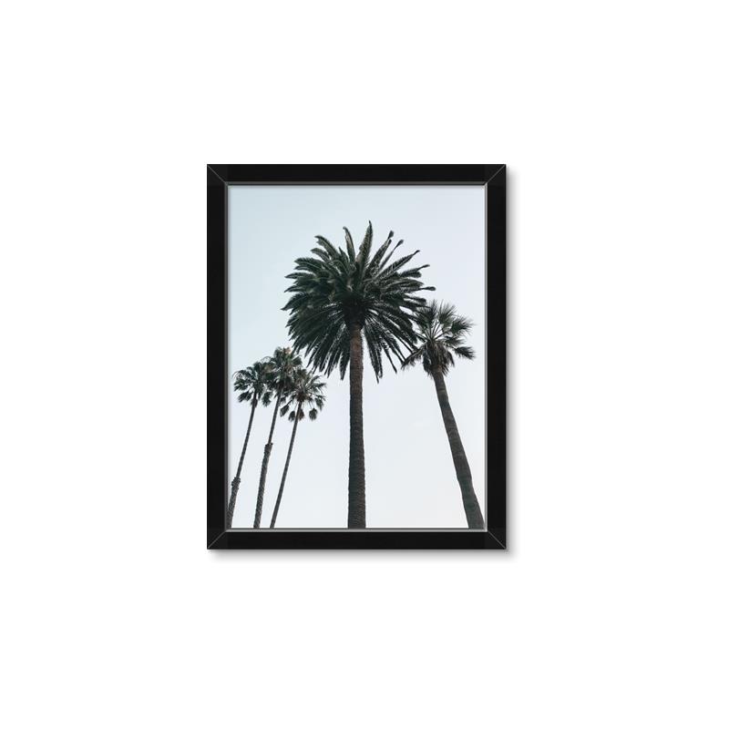 Picture of Palm Trees  _GroupedProduct_Rectangle_Portrait_Photography _GroupedProduct_Rectangle_Portrait_Framed_Matted_