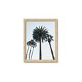 Picture of Palm Trees  _GroupedProduct_Rectangle_Portrait_Photography _GroupedProduct_Rectangle_Portrait_Framed_Matted_