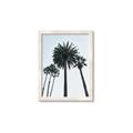 Picture of Palm Trees  _GroupedProduct_Rectangle_Portrait_Photography _GroupedProduct_Rectangle_Portrait_Framed_Matted_