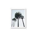 Picture of Palm Trees  _GroupedProduct_Rectangle_Portrait_Photography _GroupedProduct_Rectangle_Portrait_Framed_Matted_