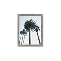 Picture of Palm Trees  _GroupedProduct_Rectangle_Portrait_Photography _GroupedProduct_Rectangle_Portrait_Framed_Matted_