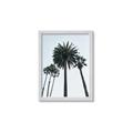 Picture of Palm Trees  _GroupedProduct_Rectangle_Portrait_Photography _GroupedProduct_Rectangle_Portrait_Framed_Matted_
