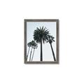 Picture of Palm Trees  _GroupedProduct_Rectangle_Portrait_Photography _GroupedProduct_Rectangle_Portrait_Framed_Matted_