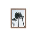 Picture of Palm Trees  _GroupedProduct_Rectangle_Portrait_Photography _GroupedProduct_Rectangle_Portrait_Framed_Matted_