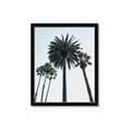 Picture of Palm Trees  _GroupedProduct_Rectangle_Portrait_Photography _GroupedProduct_Rectangle_Portrait_Framed_Matted_