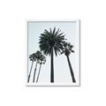 Picture of Palm Trees  _GroupedProduct_Rectangle_Portrait_Photography _GroupedProduct_Rectangle_Portrait_Framed_Matted_