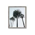 Picture of Palm Trees  _GroupedProduct_Rectangle_Portrait_Photography _GroupedProduct_Rectangle_Portrait_Framed_Matted_