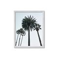 Picture of Palm Trees  _GroupedProduct_Rectangle_Portrait_Photography _GroupedProduct_Rectangle_Portrait_Framed_Matted_