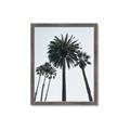 Picture of Palm Trees  _GroupedProduct_Rectangle_Portrait_Photography _GroupedProduct_Rectangle_Portrait_Framed_Matted_