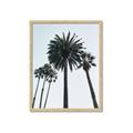 Picture of Palm Trees  _GroupedProduct_Rectangle_Portrait_Photography _GroupedProduct_Rectangle_Portrait_Framed_Matted_
