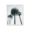 Picture of Palm Trees  _GroupedProduct_Rectangle_Portrait_Photography _GroupedProduct_Rectangle_Portrait_Framed_Matted_