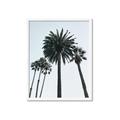 Picture of Palm Trees  _GroupedProduct_Rectangle_Portrait_Photography _GroupedProduct_Rectangle_Portrait_Framed_Matted_