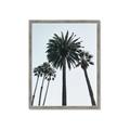 Picture of Palm Trees  _GroupedProduct_Rectangle_Portrait_Photography _GroupedProduct_Rectangle_Portrait_Framed_Matted_