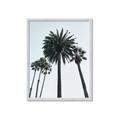 Picture of Palm Trees  _GroupedProduct_Rectangle_Portrait_Photography _GroupedProduct_Rectangle_Portrait_Framed_Matted_