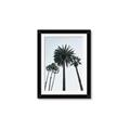 Picture of Palm Trees  _GroupedProduct_Rectangle_Portrait_Photography _GroupedProduct_Rectangle_Portrait_Framed_Matted_