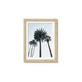Picture of Palm Trees  _GroupedProduct_Rectangle_Portrait_Photography _GroupedProduct_Rectangle_Portrait_Framed_Matted_