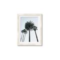 Picture of Palm Trees  _GroupedProduct_Rectangle_Portrait_Photography _GroupedProduct_Rectangle_Portrait_Framed_Matted_