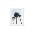 Picture of Palm Trees  _GroupedProduct_Rectangle_Portrait_Photography _GroupedProduct_Rectangle_Portrait_Framed_Matted_