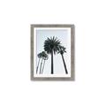 Picture of Palm Trees  _GroupedProduct_Rectangle_Portrait_Photography _GroupedProduct_Rectangle_Portrait_Framed_Matted_