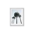 Picture of Palm Trees  _GroupedProduct_Rectangle_Portrait_Photography _GroupedProduct_Rectangle_Portrait_Framed_Matted_