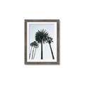 Picture of Palm Trees  _GroupedProduct_Rectangle_Portrait_Photography _GroupedProduct_Rectangle_Portrait_Framed_Matted_