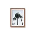 Picture of Palm Trees  _GroupedProduct_Rectangle_Portrait_Photography _GroupedProduct_Rectangle_Portrait_Framed_Matted_