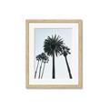 Picture of Palm Trees  _GroupedProduct_Rectangle_Portrait_Photography _GroupedProduct_Rectangle_Portrait_Framed_Matted_