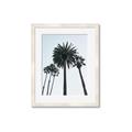 Picture of Palm Trees  _GroupedProduct_Rectangle_Portrait_Photography _GroupedProduct_Rectangle_Portrait_Framed_Matted_