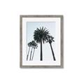 Picture of Palm Trees  _GroupedProduct_Rectangle_Portrait_Photography _GroupedProduct_Rectangle_Portrait_Framed_Matted_