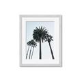 Picture of Palm Trees  _GroupedProduct_Rectangle_Portrait_Photography _GroupedProduct_Rectangle_Portrait_Framed_Matted_