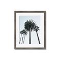 Picture of Palm Trees  _GroupedProduct_Rectangle_Portrait_Photography _GroupedProduct_Rectangle_Portrait_Framed_Matted_