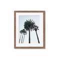 Picture of Palm Trees  _GroupedProduct_Rectangle_Portrait_Photography _GroupedProduct_Rectangle_Portrait_Framed_Matted_