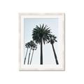 Picture of Palm Trees  _GroupedProduct_Rectangle_Portrait_Photography _GroupedProduct_Rectangle_Portrait_Framed_Matted_