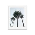 Picture of Palm Trees  _GroupedProduct_Rectangle_Portrait_Photography _GroupedProduct_Rectangle_Portrait_Framed_Matted_