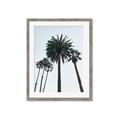 Picture of Palm Trees  _GroupedProduct_Rectangle_Portrait_Photography _GroupedProduct_Rectangle_Portrait_Framed_Matted_