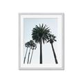 Picture of Palm Trees  _GroupedProduct_Rectangle_Portrait_Photography _GroupedProduct_Rectangle_Portrait_Framed_Matted_