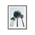 Picture of Palm Trees  _GroupedProduct_Rectangle_Portrait_Photography _GroupedProduct_Rectangle_Portrait_Framed_Matted_