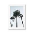 Picture of Palm Trees  _GroupedProduct_Rectangle_Portrait_Photography _GroupedProduct_Rectangle_Portrait_Framed_Matted_