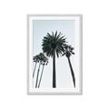Picture of Palm Trees  _GroupedProduct_Rectangle_Portrait_Photography _GroupedProduct_Rectangle_Portrait_Framed_Matted_