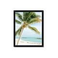 Picture of Palm Trees II _GroupedProduct_Rectangle_Portrait_Photography _GroupedProduct_Rectangle_Portrait_Framed_Matted_