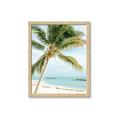 Picture of Palm Trees II _GroupedProduct_Rectangle_Portrait_Photography _GroupedProduct_Rectangle_Portrait_Framed_Matted_