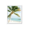 Picture of Palm Trees II _GroupedProduct_Rectangle_Portrait_Photography _GroupedProduct_Rectangle_Portrait_Framed_Matted_