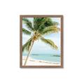 Picture of Palm Trees II _GroupedProduct_Rectangle_Portrait_Photography _GroupedProduct_Rectangle_Portrait_Framed_Matted_