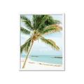 Picture of Palm Trees II _GroupedProduct_Rectangle_Portrait_Photography _GroupedProduct_Rectangle_Portrait_Framed_Matted_