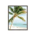 Picture of Palm Trees II _GroupedProduct_Rectangle_Portrait_Photography _GroupedProduct_Rectangle_Portrait_Framed_Matted_