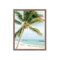 Picture of Palm Trees II _GroupedProduct_Rectangle_Portrait_Photography _GroupedProduct_Rectangle_Portrait_Framed_Matted_