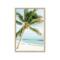 Picture of Palm Trees II _GroupedProduct_Rectangle_Portrait_Photography _GroupedProduct_Rectangle_Portrait_Framed_Matted_